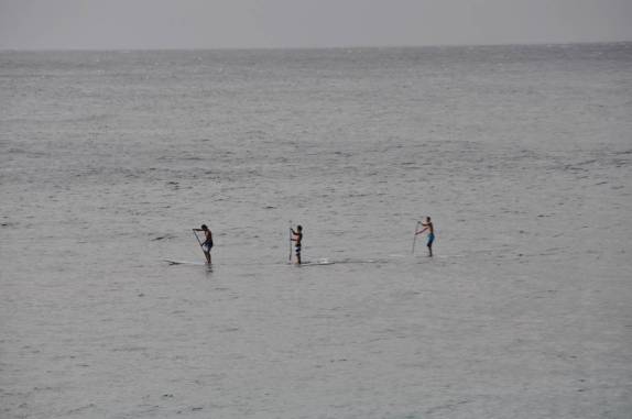 Em dia de mar tranquilo, o tradicional remo havaiano substitui o surf na north shore de Oahu, no Havaí